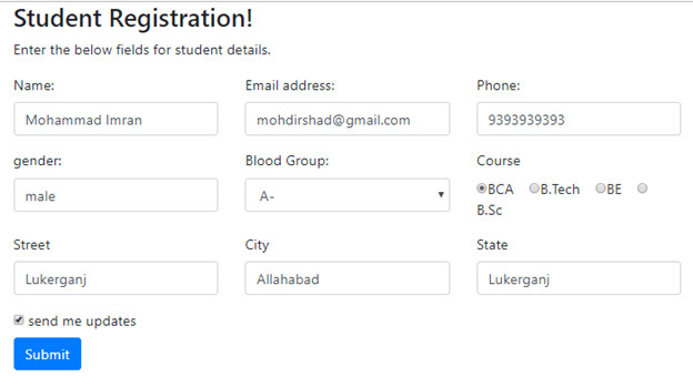 Data Binding To A Model In Angular