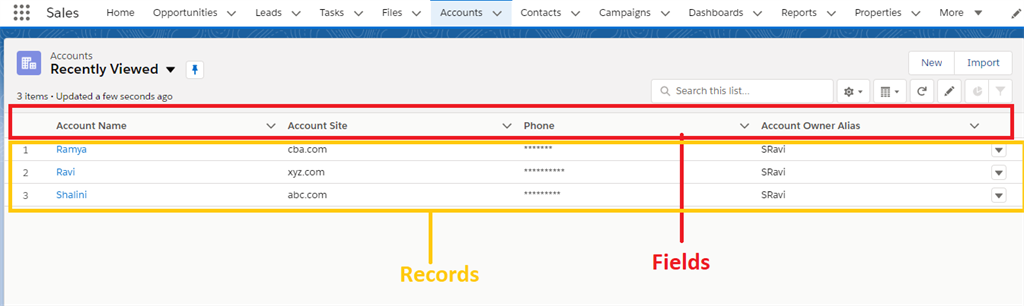 Data Model in Salesforce CRM