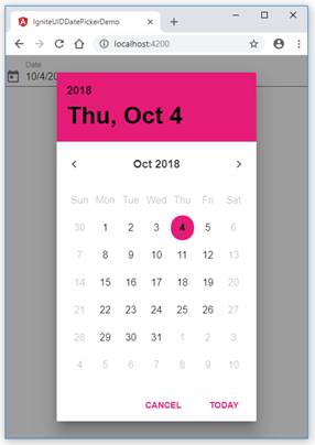 Date picker in Angular