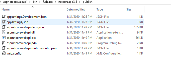 Deployments Modes In .NET Core 3.1
