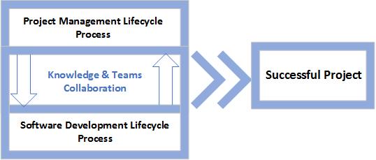 Developers Professional Practice Guidelines For Project Management And Software Development Lifecycle Process