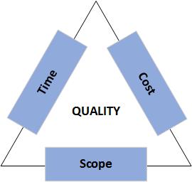 Developers Professional Practice Guidelines For Project Management And Software Development Lifecycle Process