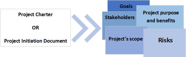 Developers Professional Practice Guidelines For Project Management And Software Development Lifecycle Process