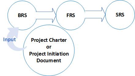 Developers Professional Practice Guidelines For Project Management And Software Development Lifecycle Process