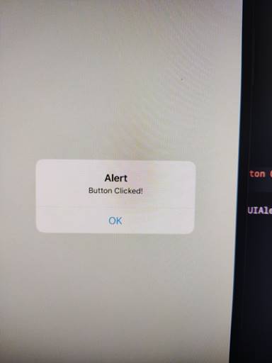 Display Alert Box In Swift