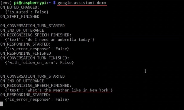 DIY Google AI Assistant using a Raspberry Pi