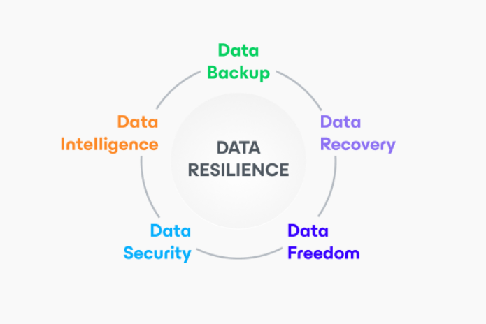 Data Resilience