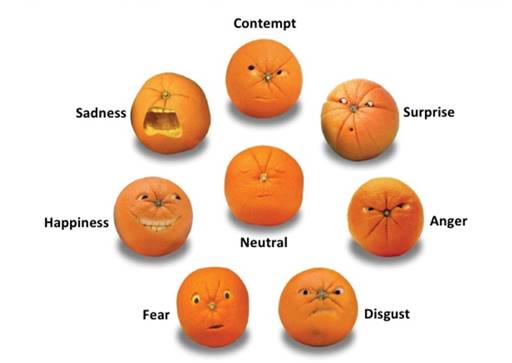 Microsoft Cognitive Services 