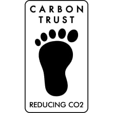 Everything you Need to Know about the Echo Dot 4th Gen