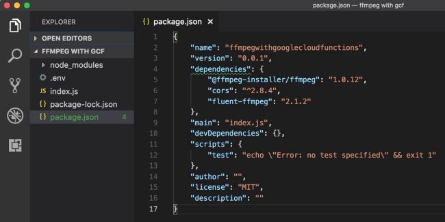 package.json