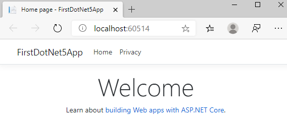  .NET 5.0