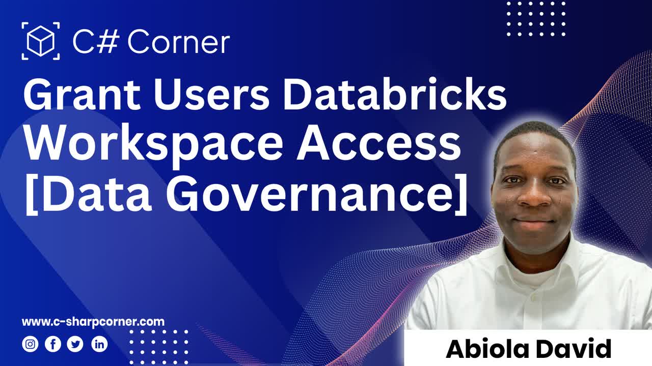 Grant Users Databricks Workspace Access [Data Governance]