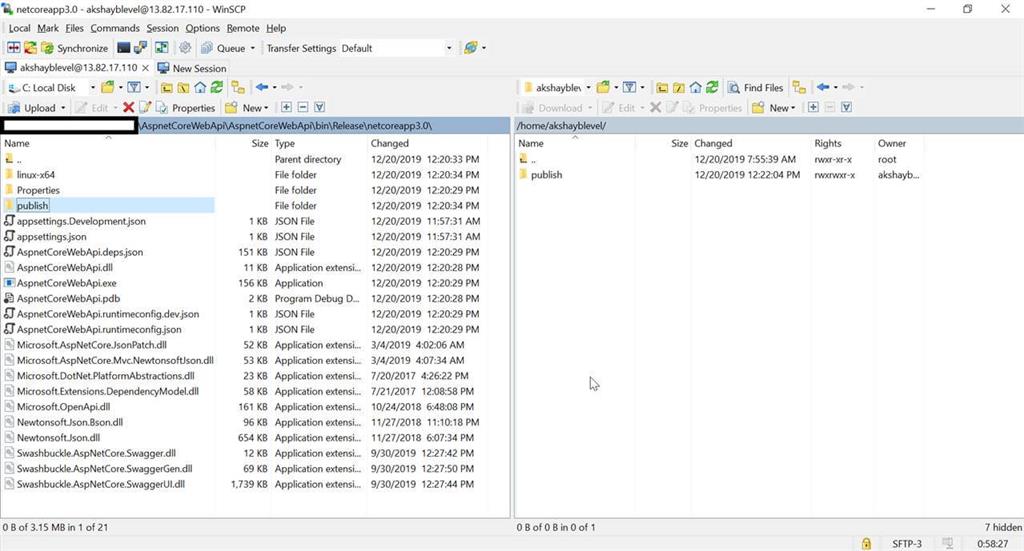 Host ASP.NET Core Web API On Linux Azure VM