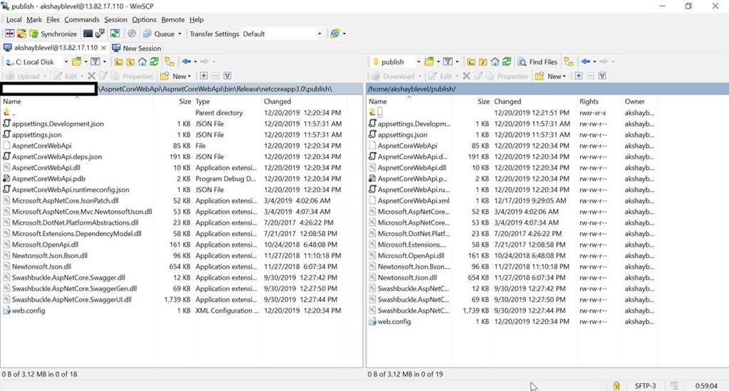 Host ASP.NET Core Web API On Linux Azure VM