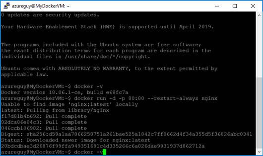 Hosting Docker Container on Azure Linux VMS 