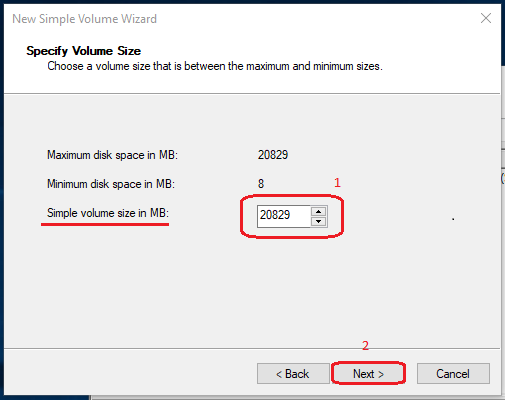 enter the volume size