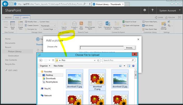How To Create And Manage SharePoint Picture Library In SharePoint 2016 ...