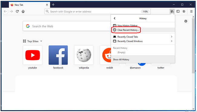 Click on "Clear Recent History".
