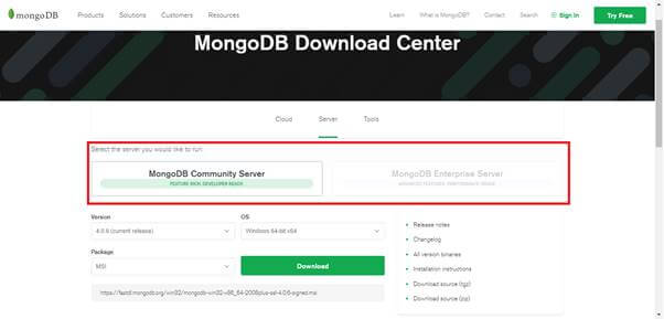 How To Install MongoDB Locally And Perform CRUD Operations