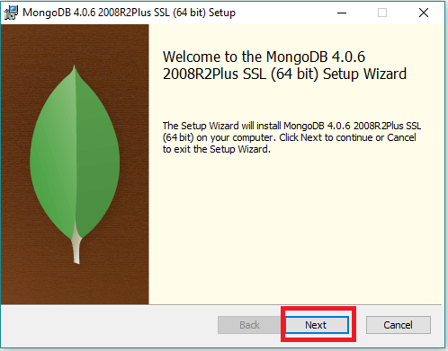 How To Install MongoDB Locally And Perform CRUD Operations