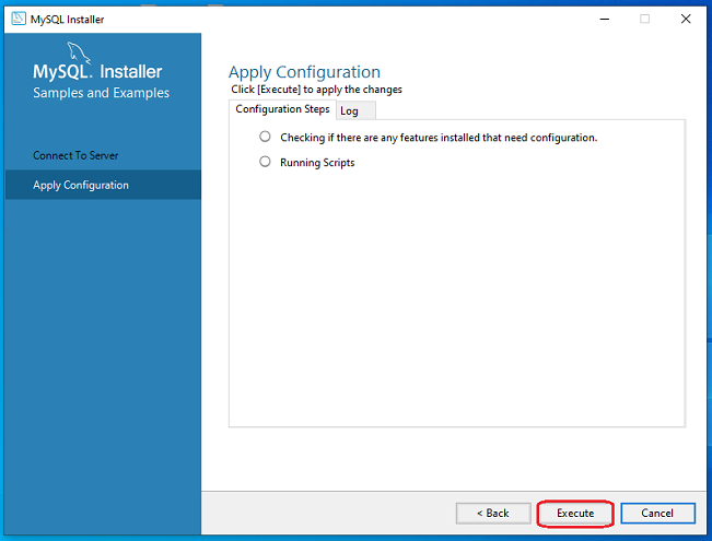 click on the Execute button