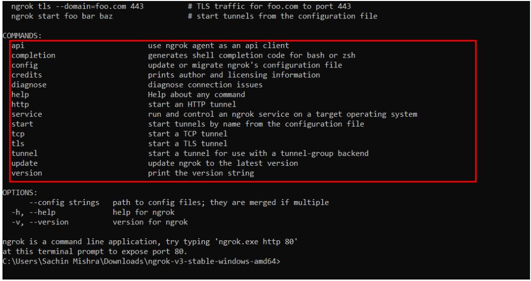 How to Install NgRok Tunneling Software