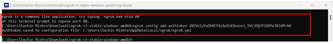 How to Install NgRok Tunneling Software