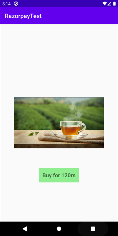 How To Integrate Razorpay In Android