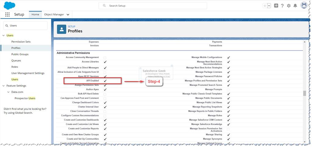How to Prepare Environment for Salesforce API Based Development