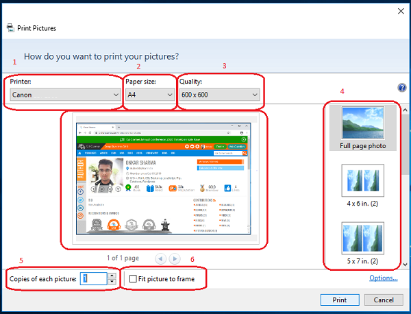 print window will appear