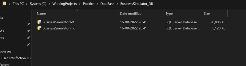 Database .mdf and .ldf file path