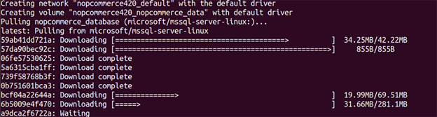 How To Run nopCommerce On Linux Using Docker