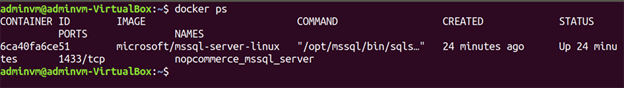 How To Run nopCommerce On Linux Using Docker