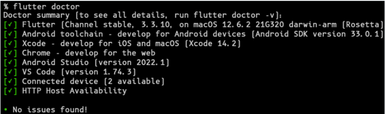 Flutter Doctor