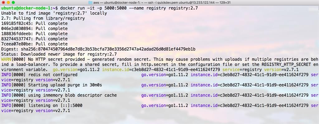 Running the first Registry Server