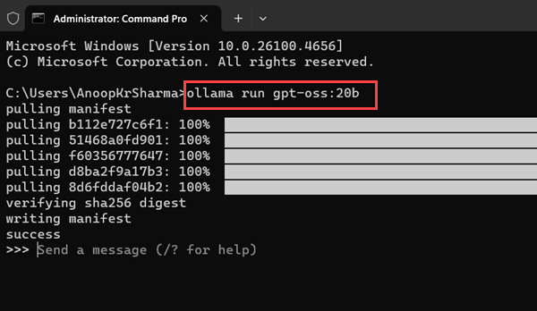 Ollama run gpt-oss 20b