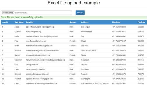 Import Excel File In Angular 7 Using Web API And SQL Server