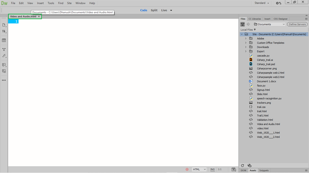 Inserting Video And Audio In A Website