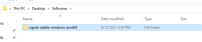 Installing Ngrok