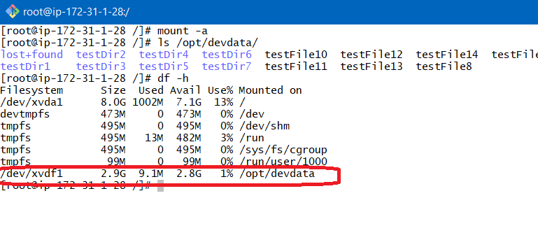 AWS Elastic Block Store