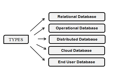 Introduction to Database Management System eBook