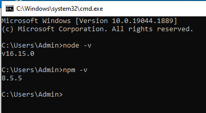 NodeJS and NPM version check