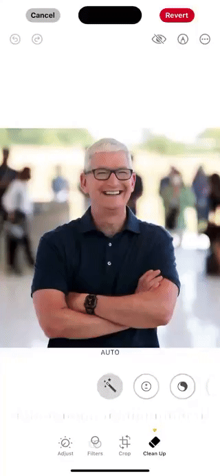 Face blur feature in iOS 18