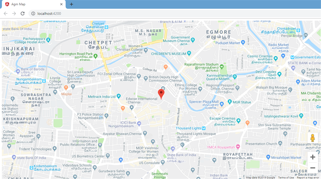 Angular AGM Map Places Visibility