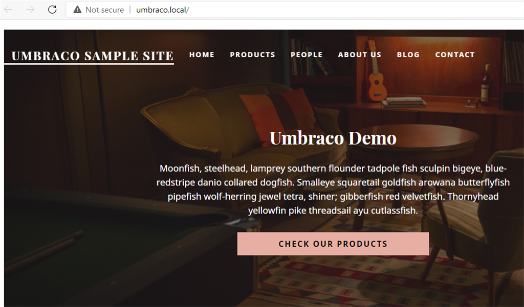 Learn Umbraco Installation And Hosting On Local IIS