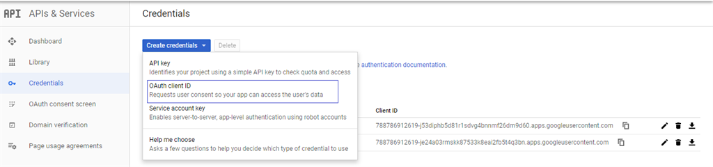 Google API Console Credentials