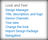 Look and Feel Section