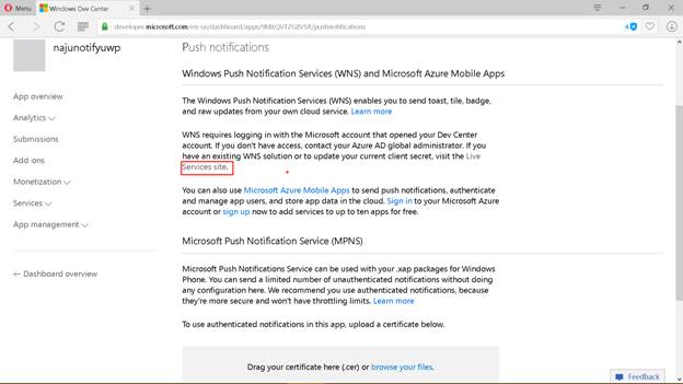 Windows Store Portal