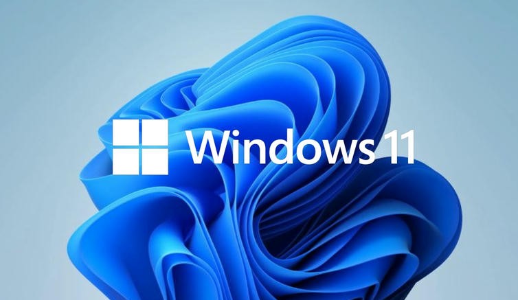 Windows 11