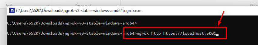 Testing local project with ngrok